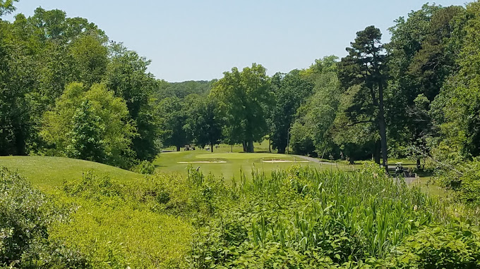 Golf Course Green