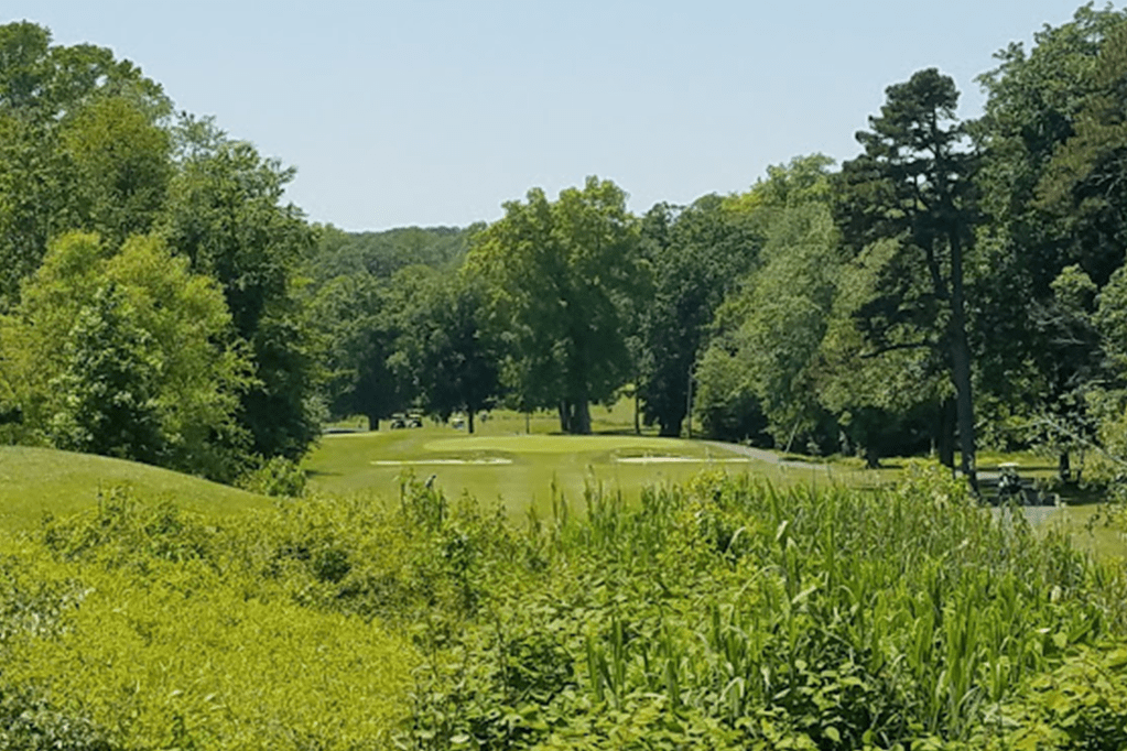 Golf course green with trees